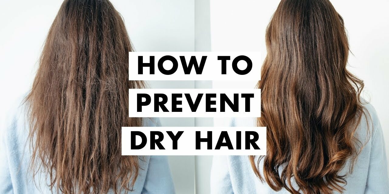How to Fix Dry Hair Hair Tips 2021